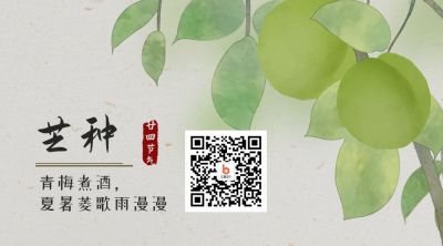 青梅煮酒中国风插画二十四节气芒种微信二维码 模板ID：11999