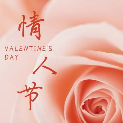 520网络情人节玫瑰实景告白公众号封面次图 模板ID:12014