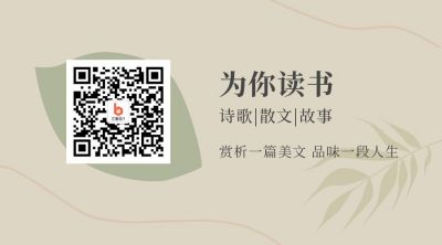 简约文艺美文欣赏读书关注二维码 模板ID:12058