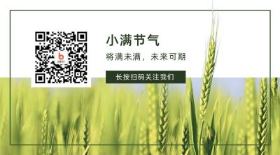 小满节气清新实景关注二维码 模板ID:12154