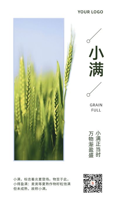 绿色简约小满节气祝福问候实景麦穗手机海报 模板ID:12148