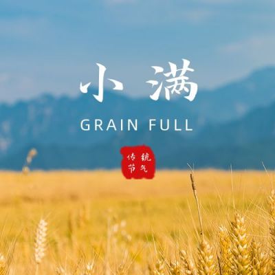 黄色简约二十四节气小满芒种节气实景祝福公众号次图 模板ID:12147