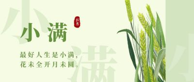 绿色清新文艺小麦简约插画传统二十四节气小满节气公众号首图 模板ID：12177