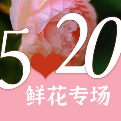 520情人节花店鲜花促销活动公众号次图 模板ID：12311