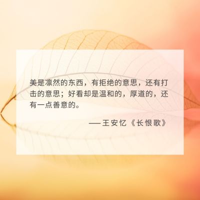 唯美简约美文句子励志方形海报 模板ID:12762