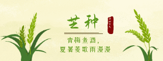 手绘芒种节气小麦动态胶囊banner 模板ID:12891