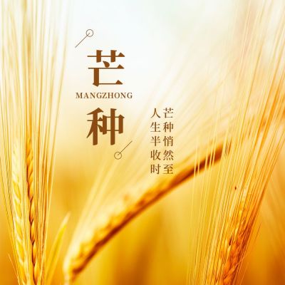 简约黄色二十四节气芒种节气问候祝福实景方形海报 模板ID:12904