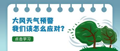 台风大风天气气象灾害自然灾害公众号首图 模板ID：12930