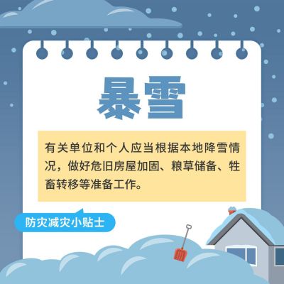 冬季寒潮暴雪预警气象灾害自然灾害方形海报 模板ID：12926