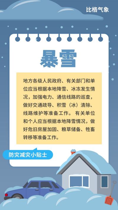 冬季寒潮暴雪预警气象灾害自然灾害手机海报 模板ID：12927