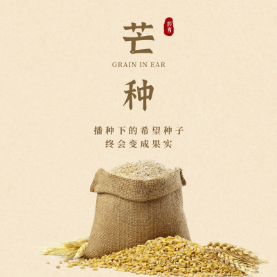 简约实景芒种节气方形海报 模板ID：12946