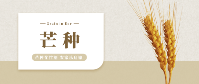 芒种节气小麦收获公众号首图 模板ID：12953