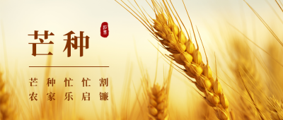 芒种实景麦子公众号首图 模板ID:12948