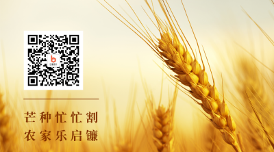 芒种实景麦子关注二维码 模板ID：12951