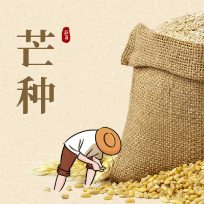 芒种收获实景节气公众号次图 模板ID：12941