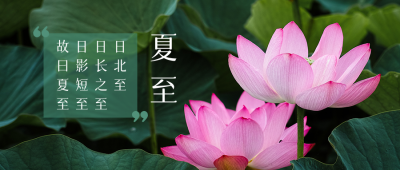 夏至节气夏天荷花荷叶简约实景公众号首图 模板ID：13446