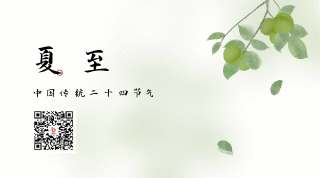 手绘传统夏至节气蜻蜓动态二维码 模板ID:13505