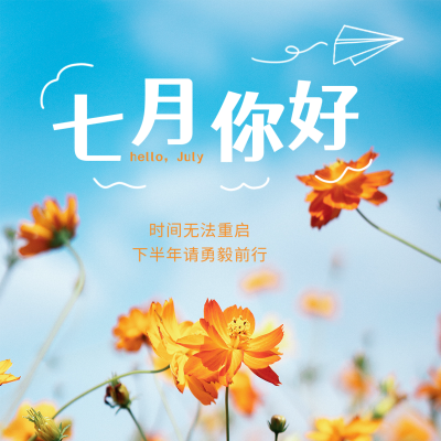 七月你好问候文艺方形海报 模板ID:13738