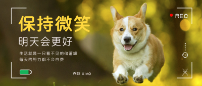 世界微笑日可爱狗狗治愈公众号首图 模板ID：13773