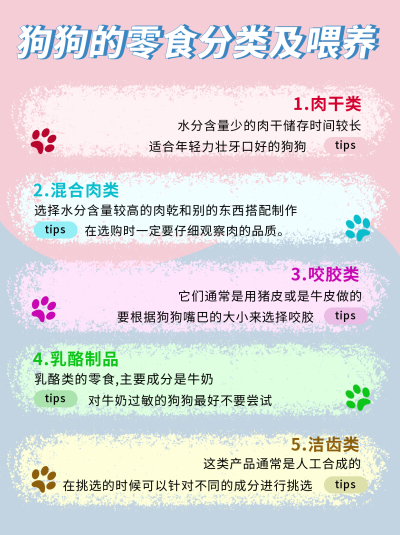 宠物零食推荐彩色通用小红书封面 模板ID:13847