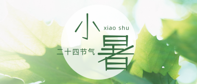 中国风小暑节气公众号封面首图 模板ID:13891
