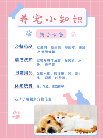 养宠小知识可爱猫狗治愈小红书封面 模板ID：14102