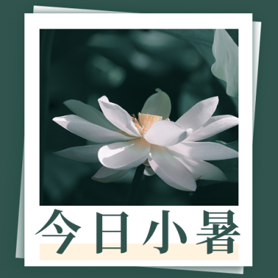 文艺日签小暑节气问候实景公众号次图 模板ID：14188