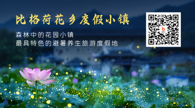 夏天避暑胜地荷花萤火虫实景微信二维码 模板ID：14225