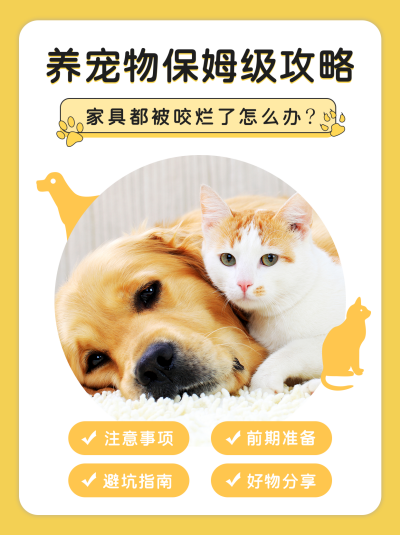 养宠物指南格子风小红书封面 模板ID:14328
