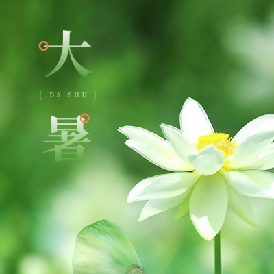 大暑夏季清新绿色荷花节气公众号次图 模板ID：14515