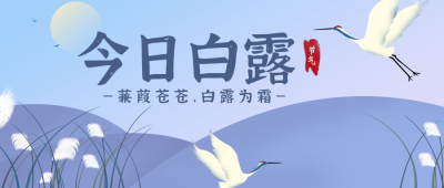 白露节气手绘公众号封面首图 模板ID:14754