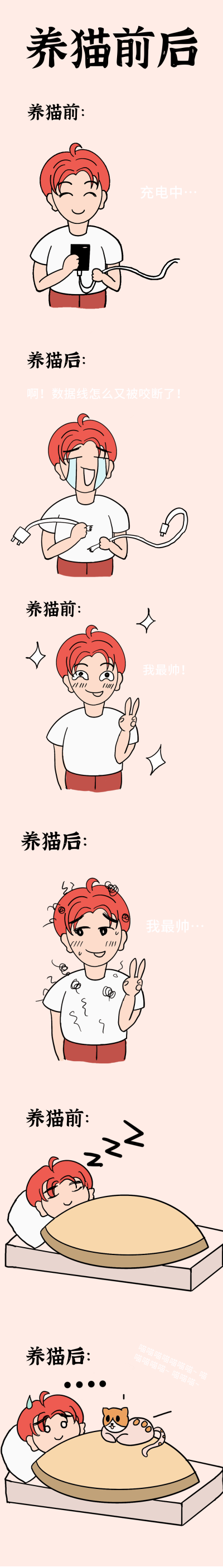 养猫前后趣味条漫 模板ID：15092