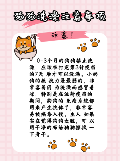 狗狗洗澡注意事项小红书封面图 模板ID:16415