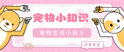 宠物公众号封面首图 模板ID:15881