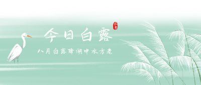 白露清新大气公众号封面首图 模板ID:16058