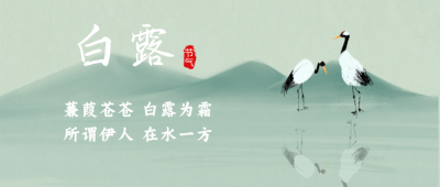 白露节气中国风公众号封面首图 模板ID：16050