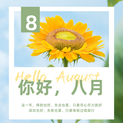 简约日签8月你好月初问候方形海报 模板ID：15927