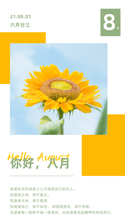简约日签8月你好月初问候竖版配图 模板ID:15923