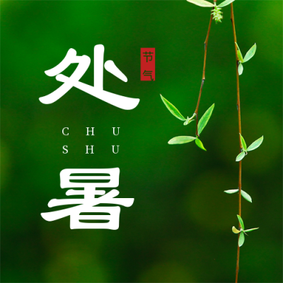 二十四节气处暑实图简约清新绿色公众号次图 模板ID：16020