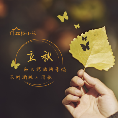 立秋节气秋天落叶实景简约创意方形海报 模板ID:16142