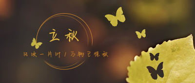 立秋节气秋天落叶实景简约创意公众号首图 模板ID：16140