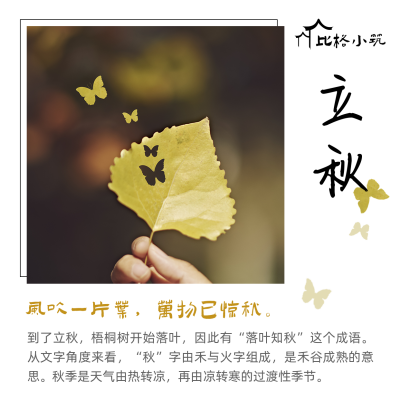立秋节气秋天落叶实景简约文艺方形海报 模板ID:16137