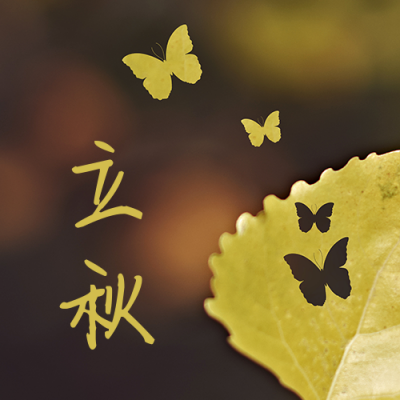 立秋节气秋天落叶实景简约文艺公众号次图 模板ID:16136