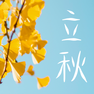立秋节气秋天黄叶银杏实景简约公众号次图 模板ID:16172