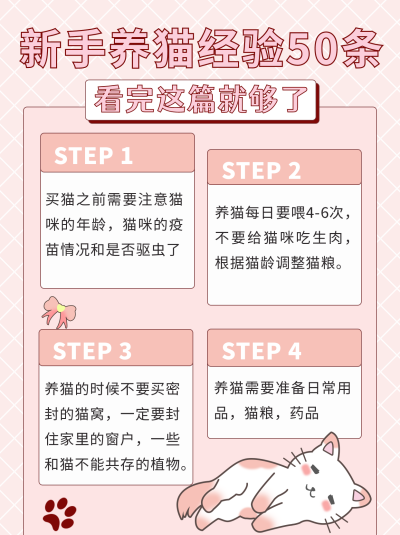 手绘饲养猫咪小知识小红书封面 模板ID：16504