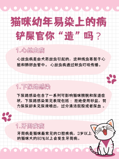 猫咪疾病的科普小红书封面 模板ID：16549