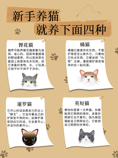动物科普新手养猫推荐小红书封面 模板ID：16574