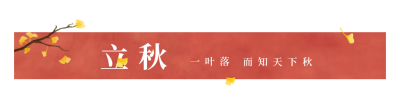 手绘银杏叶文艺二十四节气立秋引导关注 模板ID:16667
