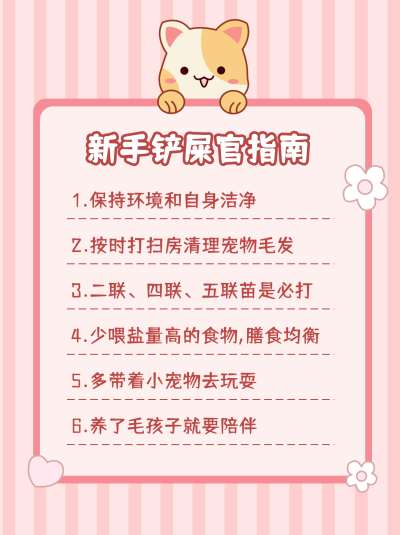 粉色可爱简约养宠物指南通用小红书封面 模板ID:16867