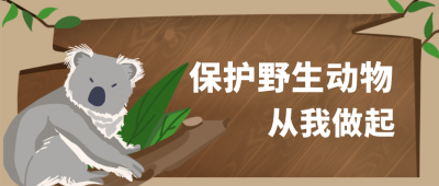 保护野生动物公众号封面首图 模板ID:18075